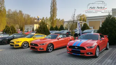 Auto Perfect Gazda Paweł